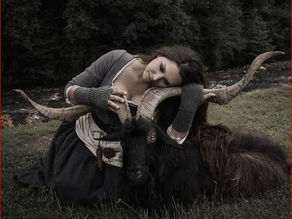 Sapos, Wicca , espírito familiar e outros assuntos.