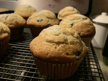 Your Weekly Pandemic Antics the Vaccine is Finally Here Edition…(1/28/21)