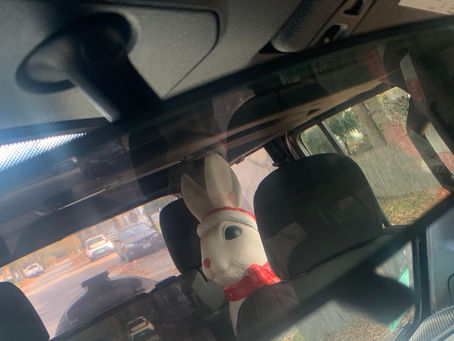 Your Weekly Antics, All Aboard the Crazy Train Edition... 11-9-2023