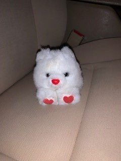 Your Weekly Pandemic Antics End of September, Holy Cow it's October 1st Edition....(10-1-2020)