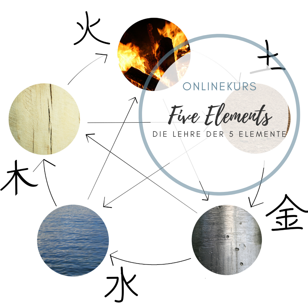 Die Lehre der 5 Elemente Online Kurs Lotus Licht Meditation