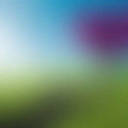 Huzurlu Bir Yaşam için: Kalbe Yolculuk