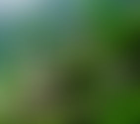 Gerçek Benliğimizi ve Yaşamın Amacını Bularak Öz Farkındalık'a Ulaşmak