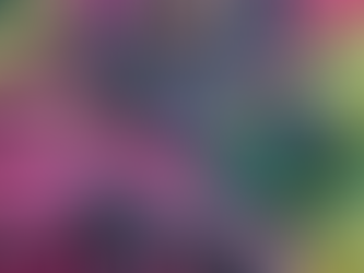 THE SQUID GAME EFFECT: Fiction That Feeds Reality