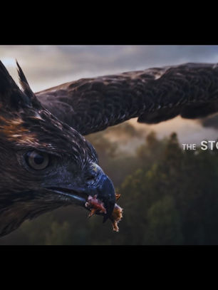 NEST: How We Made an Architectural Visualization Film with a Bird's Eye, an AI Pipeline, and No Physical Camera