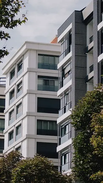 Untitled design (4).webp