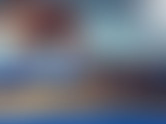 Customs Litigation Support Services for Importers and Exporters in India