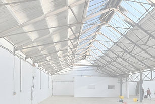 WhatsApp Image 2026-01-20 at 15_edited.jpg