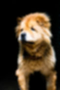 Copy of Day1-27.jpg