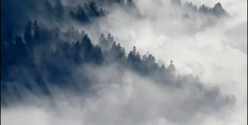 mist-trees-mountain-winter.gif