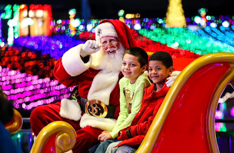 231119_FirefliesLights_JB_063.jpg