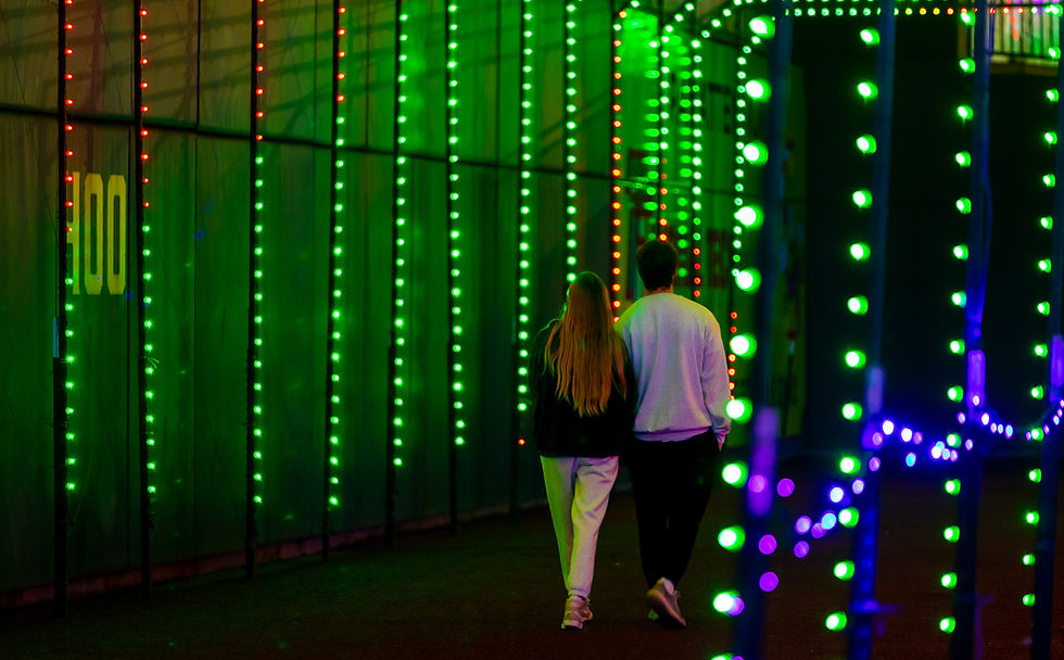 221130_FirefliesLights_031.jpg