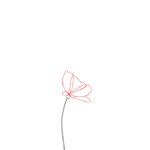 bloom.gif