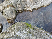 水、渓谷、中津渓谷。