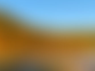 水のない池?!　広沢池