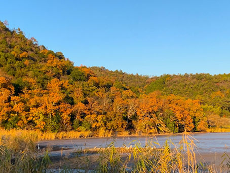 水のない池?!　広沢池