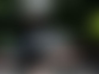 漢方薬を遡ると植物たち