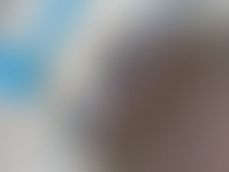 陽射しが人を殺すのか。カミュ「異邦人」