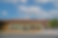 Ali Waxman photo business report.png