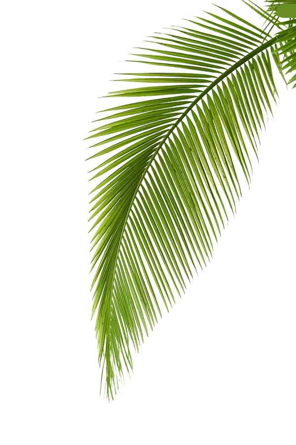 klipartz.com (20).png