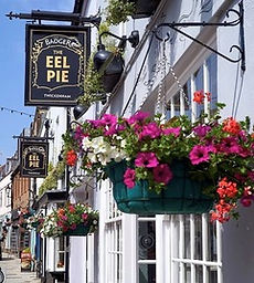 The Eel Pie