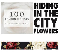 Hiding in the City Flowers