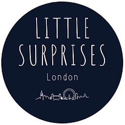 The Little Surprises Company