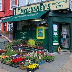 McCluskeys