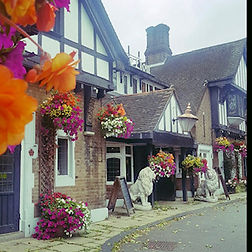 The Old White Lion