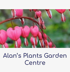 Alan’s plants Garden Centre
