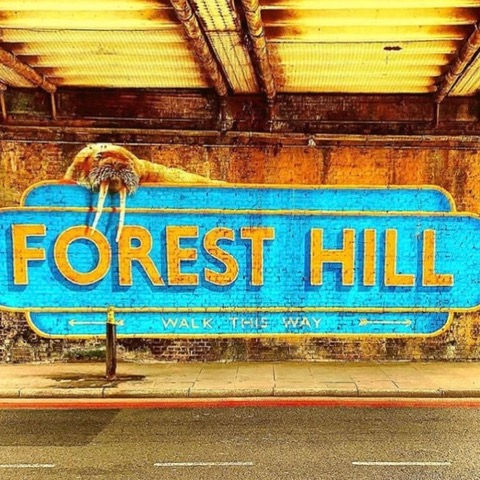 FOREST HILL