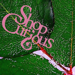 ShopCurious