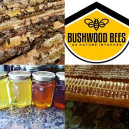 Bushwood Bees