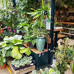 Cornercopia