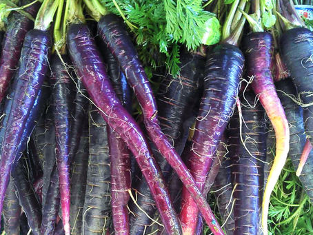 倧éè²·ãïŒç¬ïŒ