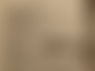 兎が走りたがってる