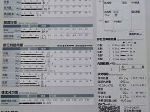 ダイエットにもファンクショナルトレーニング