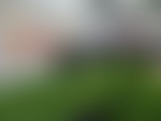 é害ç©ã¬ãŒã¹ãã€ã¡ãŒãž