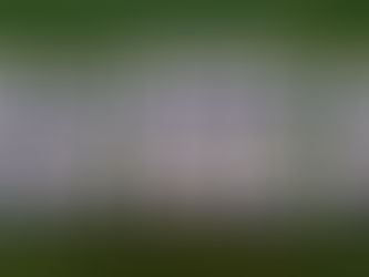 コンプレフロス入荷