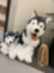 IMG_1211.jpeg