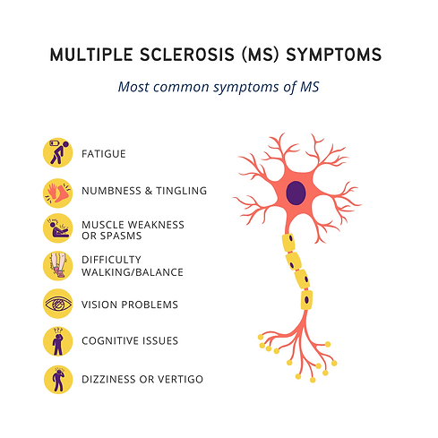 MS Symptoms infographic Chronic Wellness