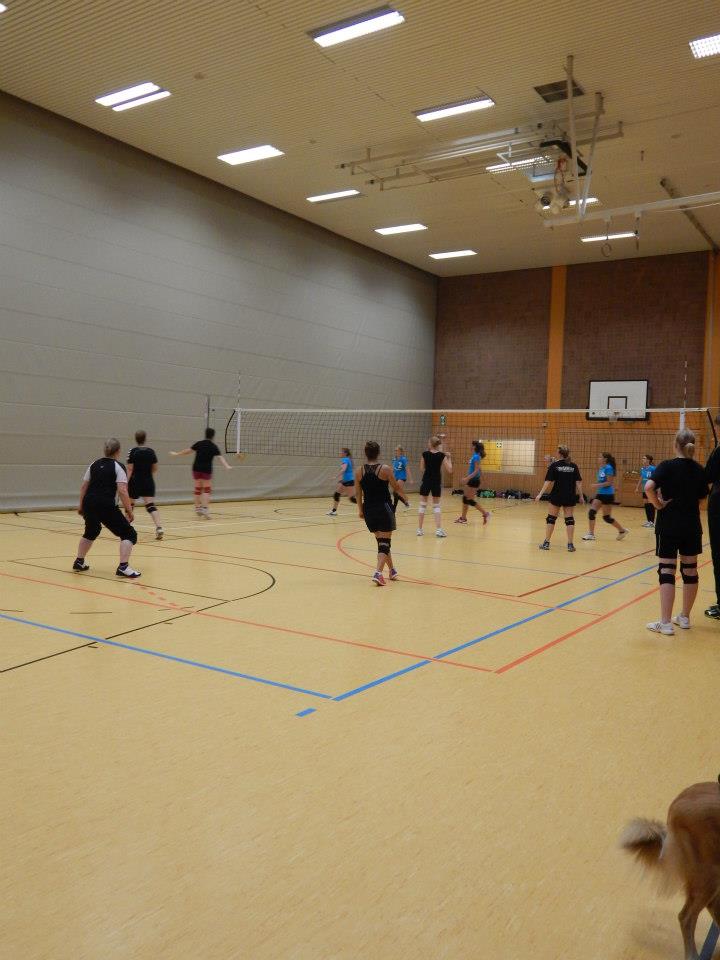 Freundschaftsspiel Bsc Offenbach Volleyball