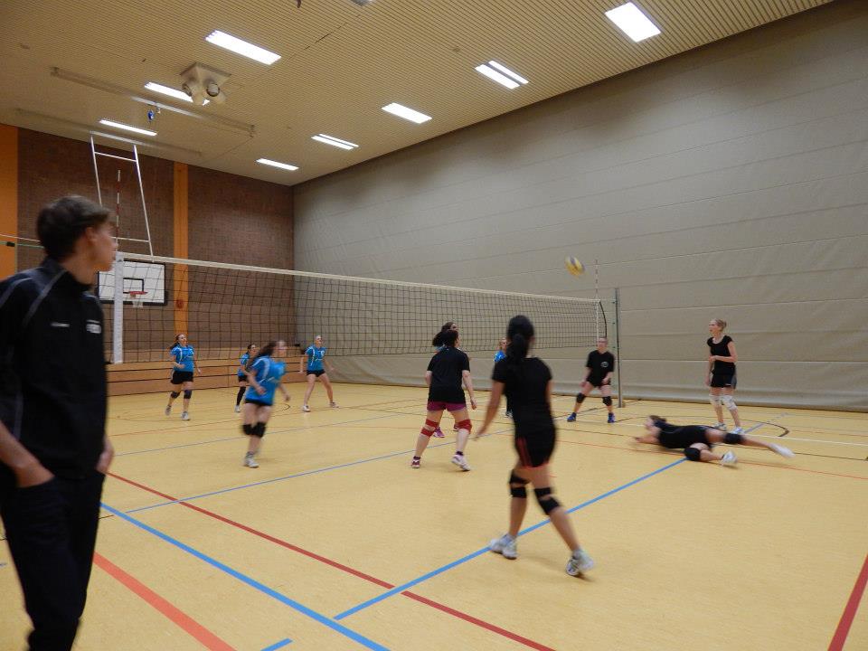 Freundschaftsspiel Bsc Offenbach Volleyball
