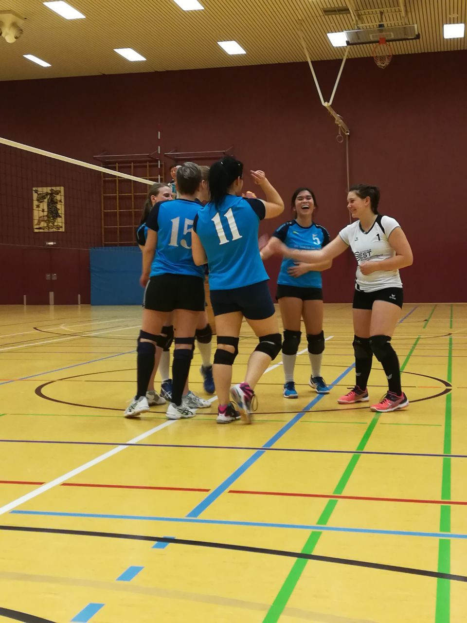 Fullscreen Page Volleyball