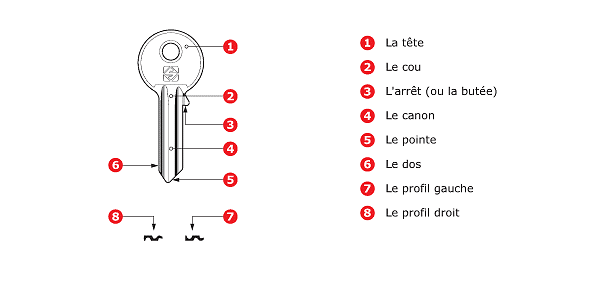 ebauches-plates-01.gif