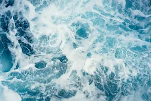 Artboard 1 copy 6.webp