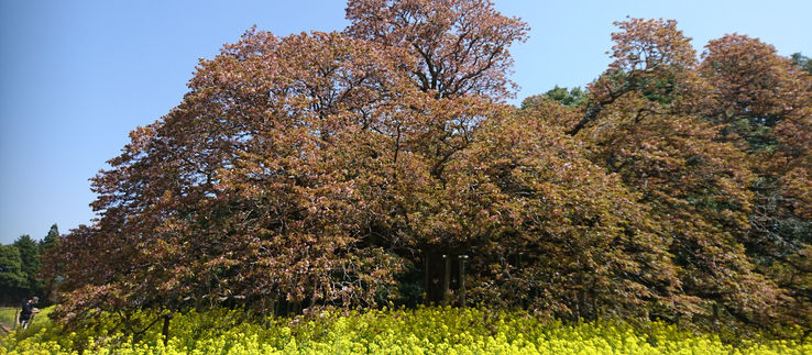 4打数無安打でした・・・