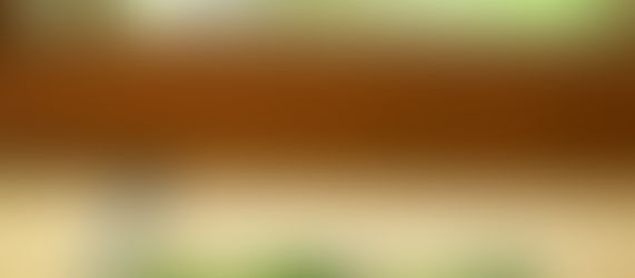 今年の夏はゴーヤです！