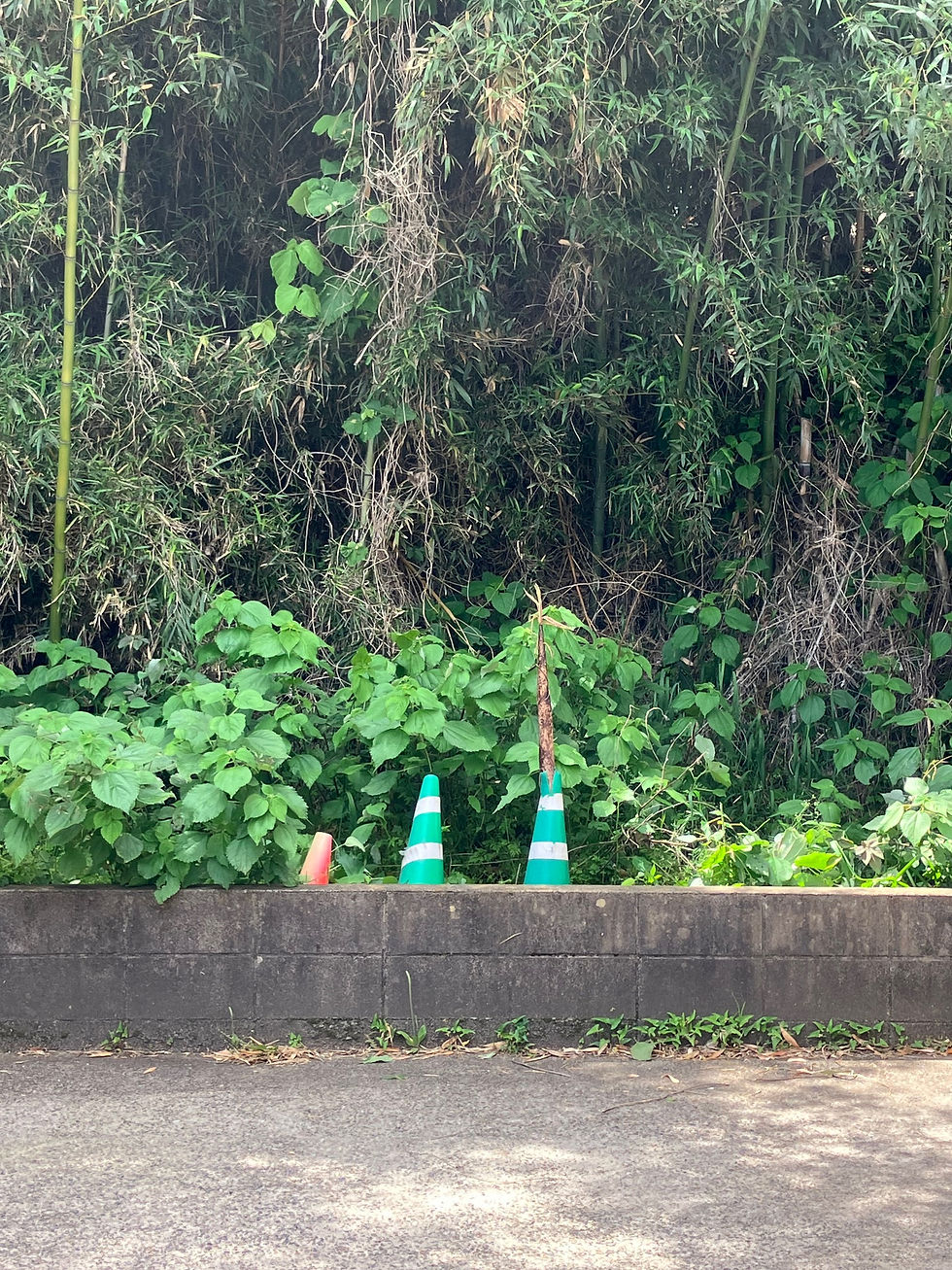 破竹の勢い……?