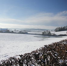 from the house